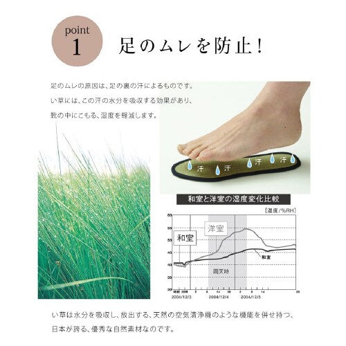 い草インソール NV 24cm