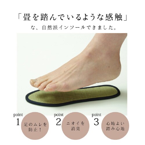い草インソール NV 25cm