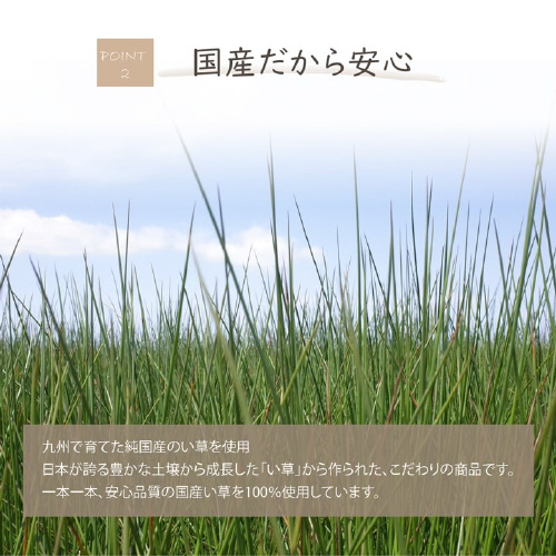 デオグラス 帯白 10×6.5cm丸