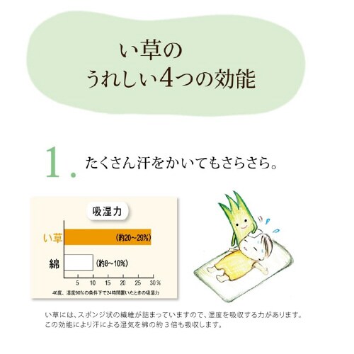 さわやか PK 30×20cm