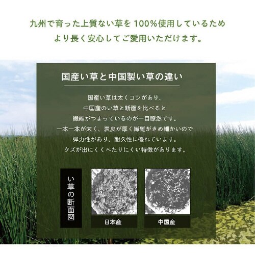 リズム BL 30×15cm