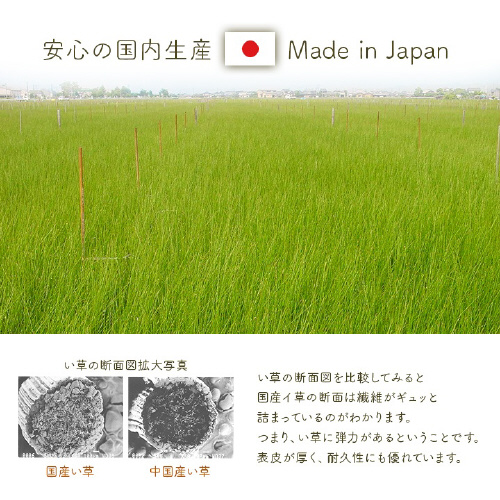 アスクドクター − 70×120cm