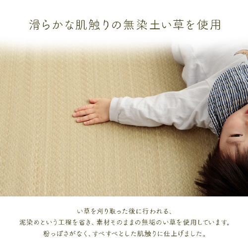 アスクドクター − 70×120cm