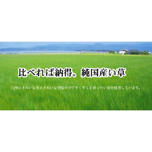 五風 BR 55×55cm×2P
