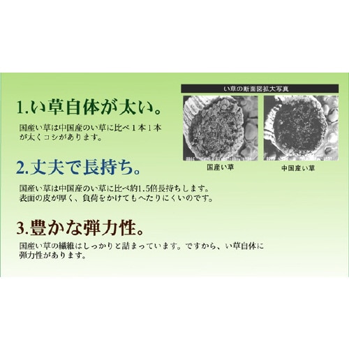 五風 BR 55×55cm×2P