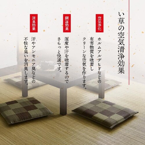 ブロック BR 55×55cm×2P