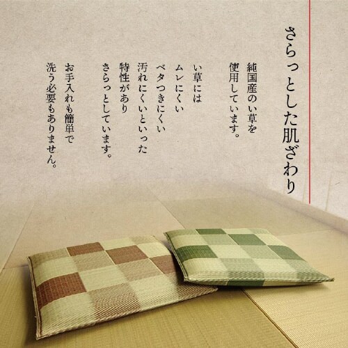 ブロック GN 55×55cm×2P