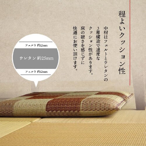 ブロック GN 55×55cm×2P