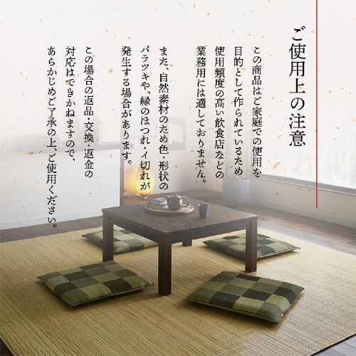 ブロック GN 55×55cm×2P