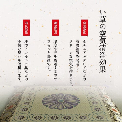 正倉院 − 70×70cm