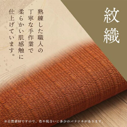 大紬 GN 55×55cm5P