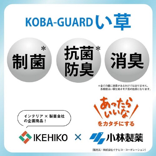 クリア BR 48×90cm