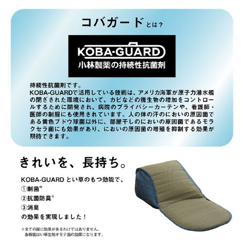 クリア BR 48×90cm