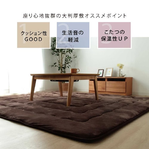 大判ドーク BR 220×300cm