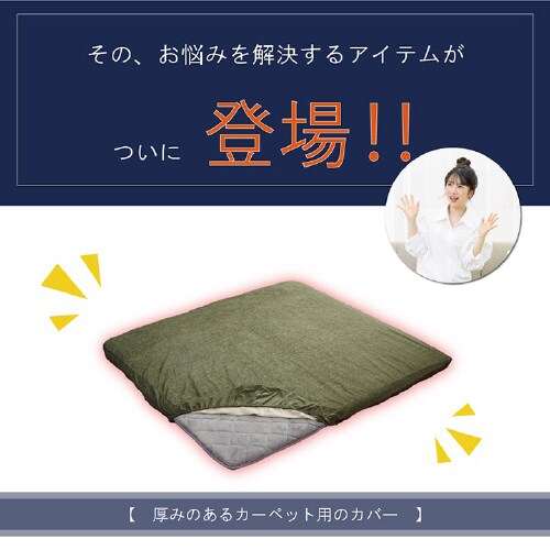 敷カバー 撥水モデルノ BE 193×243cm