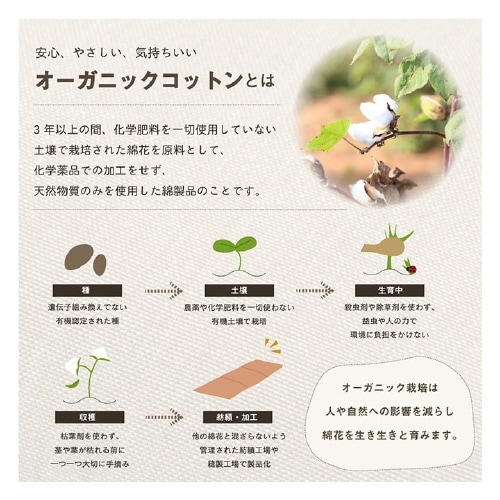 クララ BE 43×130cm