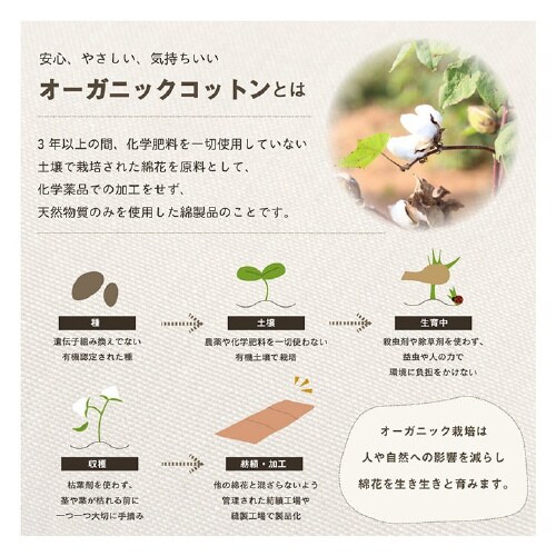 クララ YE 43×130cm