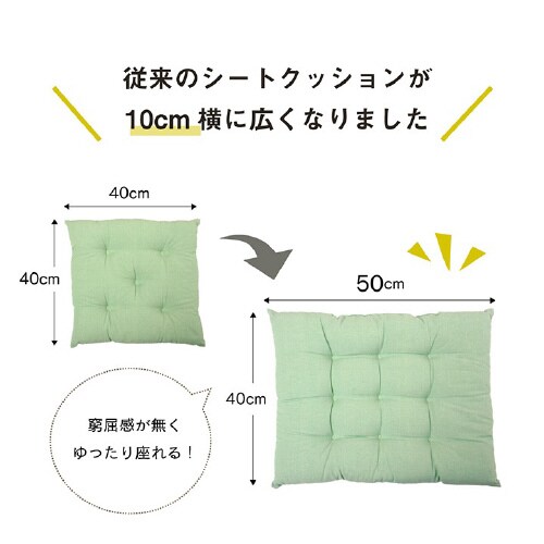 クララ YE 40×50cm