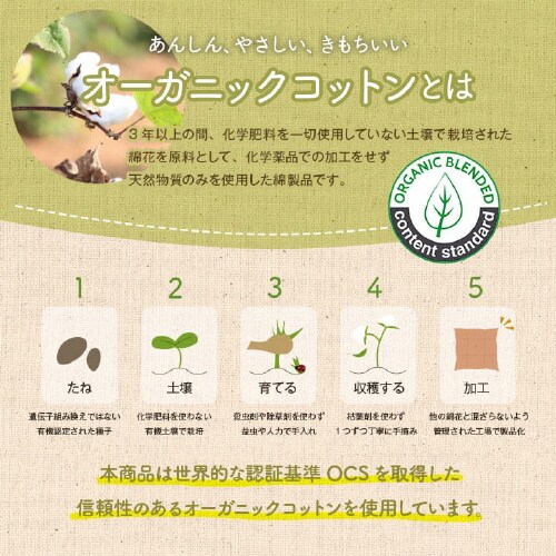 フロー BE 35cm丸