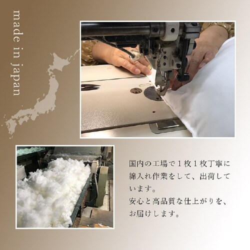 ゆかり BR 55×59cm 5P