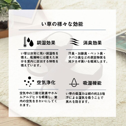 スアブ BK フリー