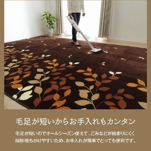 オーバ BE 235×390cm