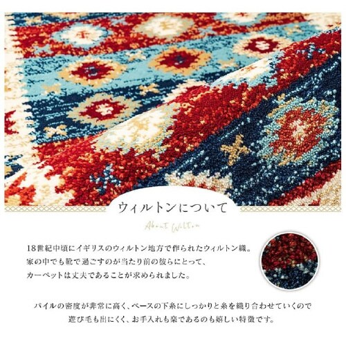 プルメリア RE 60×90cm