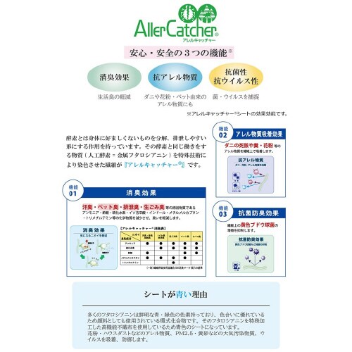サンティエ PBL 120×150cm