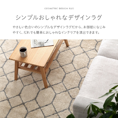 ポラロ IV 190×240cm