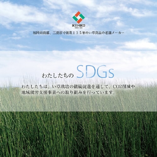 イ草リース − 20Rcm