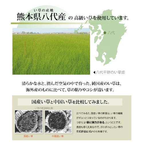 清正 − 江戸間10畳