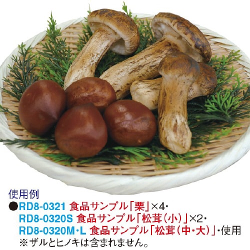 食品サンプル 松茸(大)