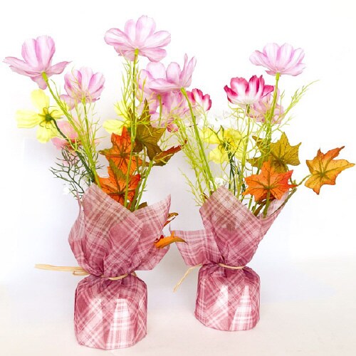 コスモスラッピングセット