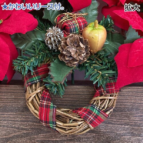 ポインセチアアレンジプランター