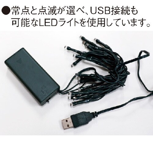 60cmファミリーツリーセット