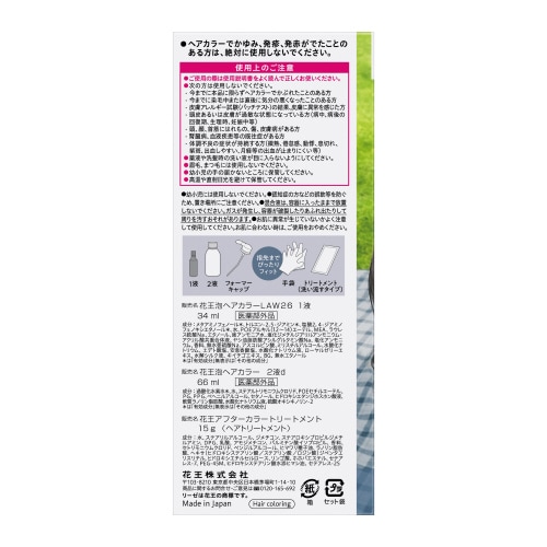 リーゼ 泡カラー アイスブルージュ