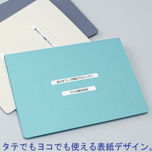 フラットファイル<NEOS>オフホワイト 30冊