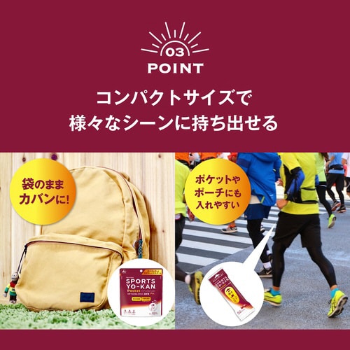 スポーツようかん ポケット 16個