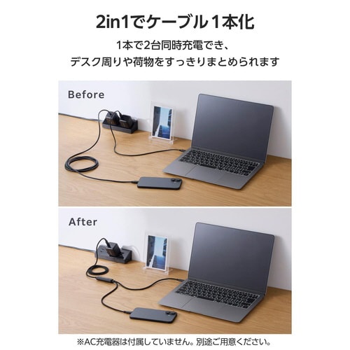 2in1ケーブル CtoC 1.2m ブラック