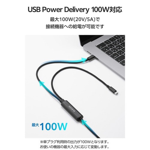 2in1ケーブル CtoC 1.2m ブラック