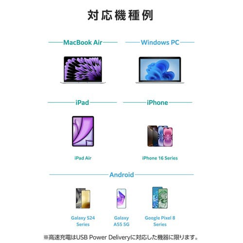 2in1ケーブル CtoC 1.2m ブラック