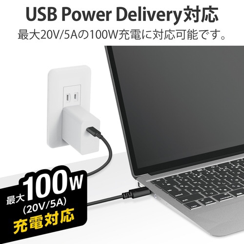 TypeCケーブル 2m PD100W ブラック