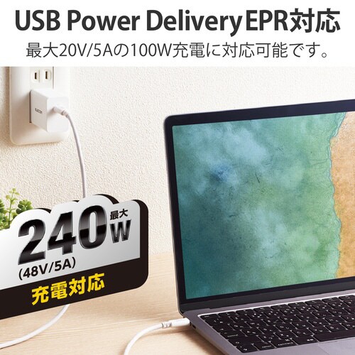 TypeCケーブル 1m PD240W ホワイト