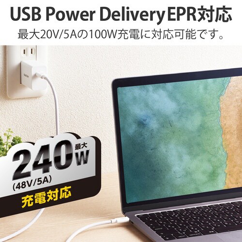 TypeCケーブル 1m 240W USB4 白