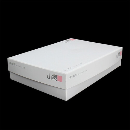 洋2封筒 ダイヤ タンザニアコットンN 1000枚