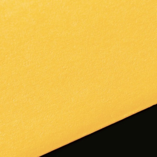 角2 保存袋 マチ付 DXキンチャ 厚口 100枚