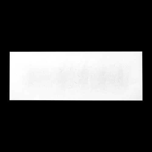 白大礼紙 長8切 100枚