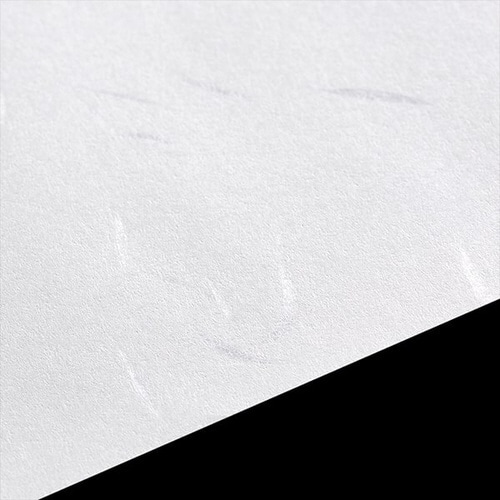 白大礼紙 長8切 100枚