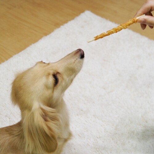 仕上名人 ササミロールデンタルガム