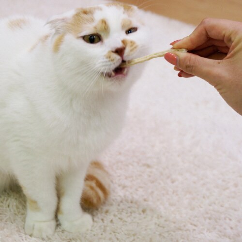 猫ちゃんホワイデント かつお入り